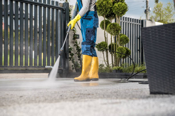 Best Graffiti Removal  in Pine Ridge, FL